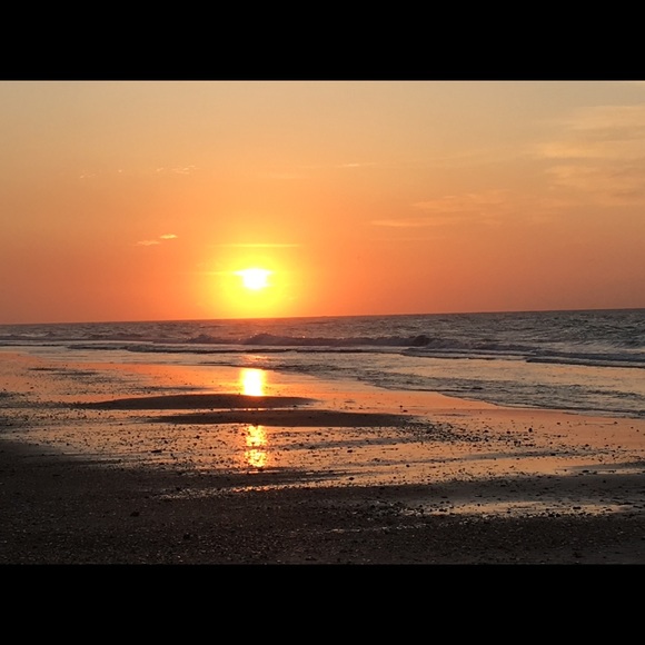 Meet your Posher, Belle - Picture 2 of 2